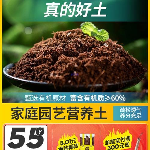 夏杜鹃盆景厂家,品牌,图片,热帖